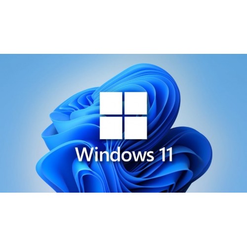 MS WINDOWS DSP 11 HOME 64-BIT GR