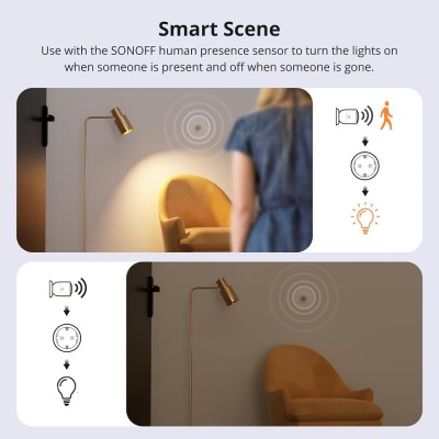 SONOFF smart αντάπτορας ρεύματος S60TPF, μονός, 4000W, WiFi, λευκός